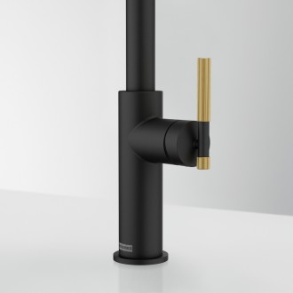 Змішувач кухонний Franke Maris Stripes U (115.0747.676) bi-matte black/gold