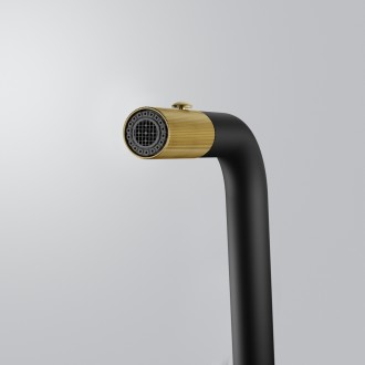 Змішувач кухонний Franke Maris Stripes U (115.0747.676) bi-matte black/gold